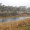 Dam levels were low in early June