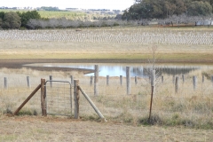 Entry gate from Stockman's Ridge