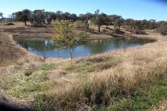 The dam is looking a little low