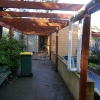 The pergola