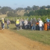 6 rows picked by about 20 people