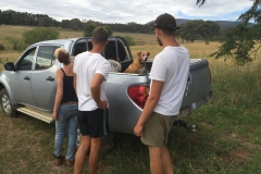 Pickers saying goodbye to the dogs
