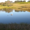 The 32 megalitre dam captures water runoff
