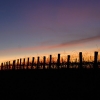 Colours at dusk