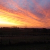 Sunset stunner