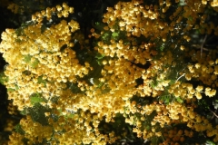 DSCN3588