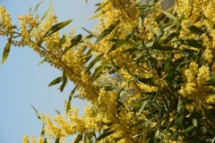 DSCN3589