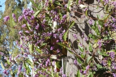 DSCN3601