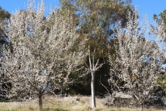 DSCN3602