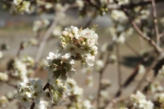 DSCN3609