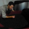 Will the winemaker inspecting the grapes