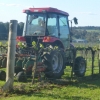 Philippe undercutting weeds in the vine row